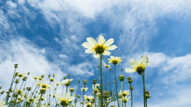 秋空とカウンセリング