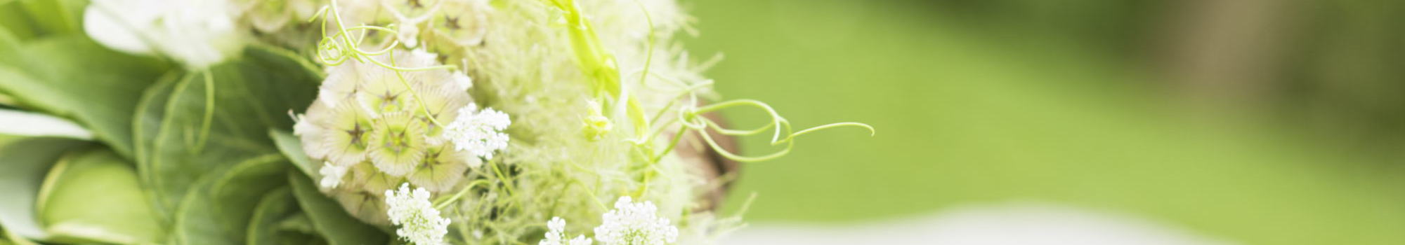 ライフサポート夫婦相談室